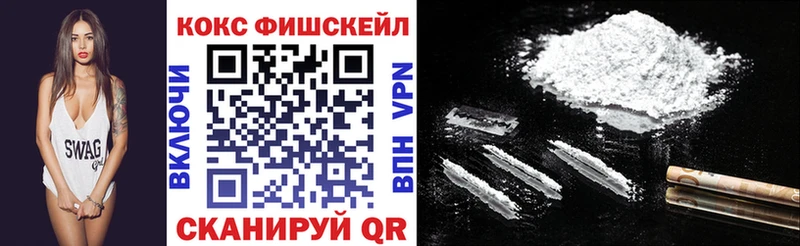 КОКАИН Fish Scale  Купить закладки  Топки 