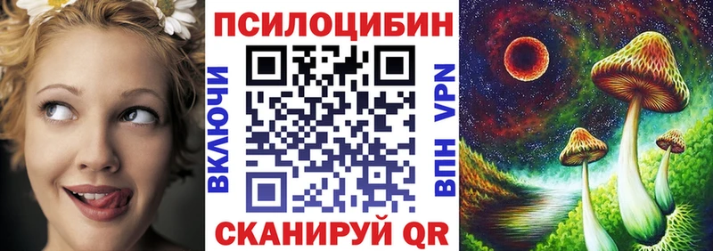 Псилоцибиновые грибы Psilocybe Топки